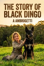 The Story of Black Dingo