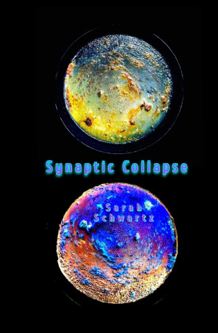 Synaptic Collapse