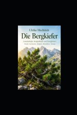 Die Bergkiefer