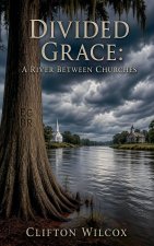 Divided Grace