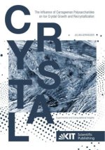 The Influence of Carrageenan Polysaccharides on Ice Crystal Growth and Recrystallization: Experimental and Computational Insights