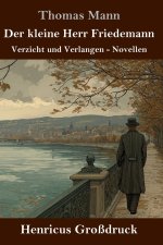 Der kleine Herr Friedemann (Großdruck)
