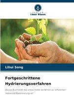 Fortgeschrittene Hydrierungsverfahren