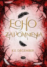 Echo zapomnienia