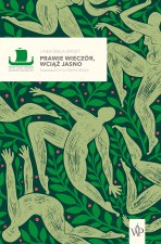 Prawie wieczór, wciąż jasno. Seria Dzieł Pisarzy Skandynawskich