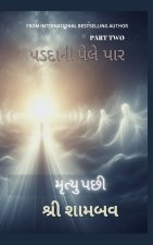 પડદાની પેલે પાર