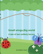 Small wings,Big world