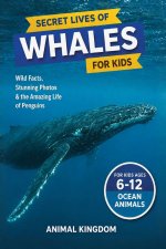 Secret Lives of Whales for Kids