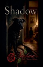 Shadow