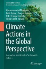 Climate Actions in the Global Perspective