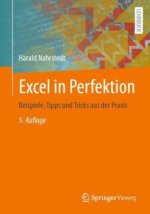 Excel in Perfektion