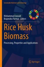 Rice Husk Biomass
