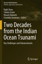 Two Decades from the Indian Ocean Tsunami