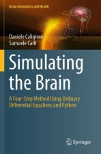 Simulating the Brain