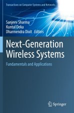 Next-Generation Wireless Systems