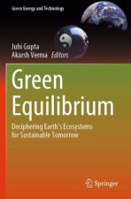 Green Equilibrium