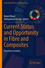 Current Status and Opportunity in Fibre and Composites
