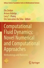 Computational Fluid Dynamics: Novel Numerical and Computational Approaches