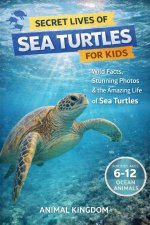 Secret Lives of Sea Turtles for Kids