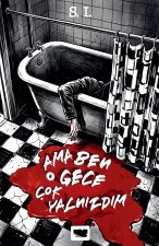 Ama ben o gece çok yalnızdım