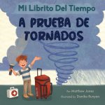 Mi librito del tiempo