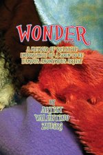 Wonder, A Memoir of Relative Importance of a Soon-To-Be Famous Anonymous Artist