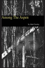 Among The Aspen