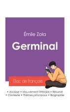 Réussir son Bac de français 2027 : Analyse du roman Germinal d'Émile Zola