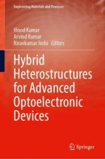 Hybrid Heterostructures for Advanced Optoelectronic Devices