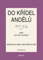 Do křídel andělů aneb smrt není monstrum - Abeceda pro rodiče, kteří přežili své dítě