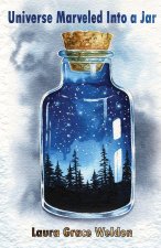 Universe Marveled into a Jar