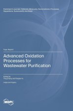 Advanced Oxidation Processes for Wastewater Purification