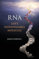 RNA