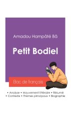 Réussir son Bac de français 2027 : Analyse du conte Petit Bodiel de Amadou Hampâté Bâ