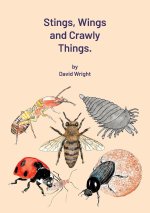Stings, Wings and Crawly Things