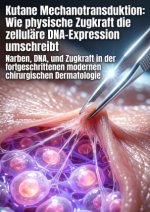 Kutane Mechanotransduktion: Wie physische Zugkraft die zelluläre DNA-Expression umschreibt