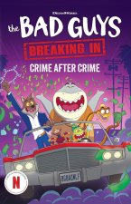 Bad Guys TV Chapter Book #3