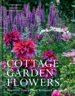 Cottage Garden Flowers
