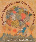 Rocks, Stones, and Dinosaur Bones