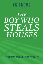 The Boy Who Steals Houses