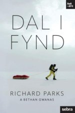 Stori Sydyn: Dal i Fynd