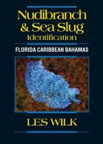 Nudibranch & Sea Slug Identification - Florida Caribbean Bahamas