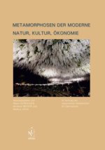 Metamorphosen der Moderne
