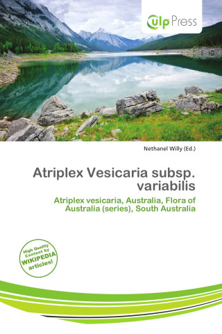 Atriplex Vesicaria subsp. variabilis