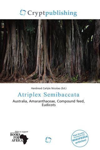 Atriplex Semibaccata