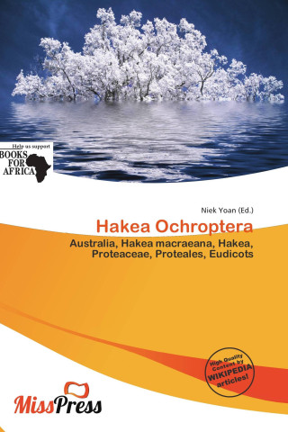 Hakea Ochroptera
