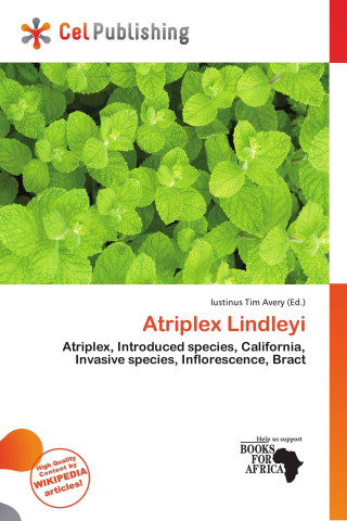 Atriplex Lindleyi