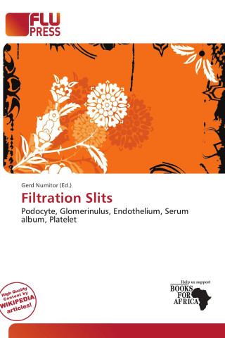Filtration Slits