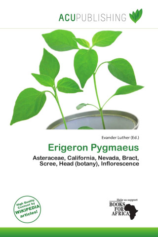 Erigeron Pygmaeus