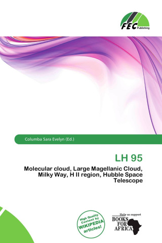LH 95